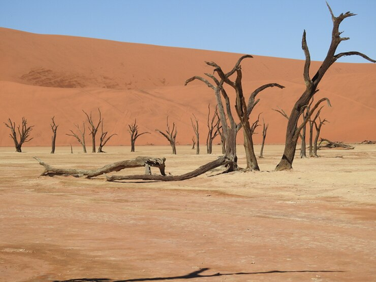 Namibia tour photo 4