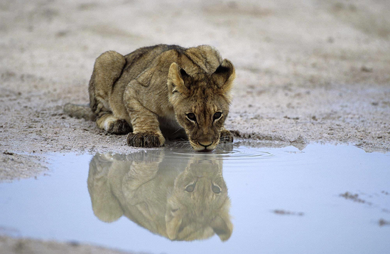 Namibia tour photo 11