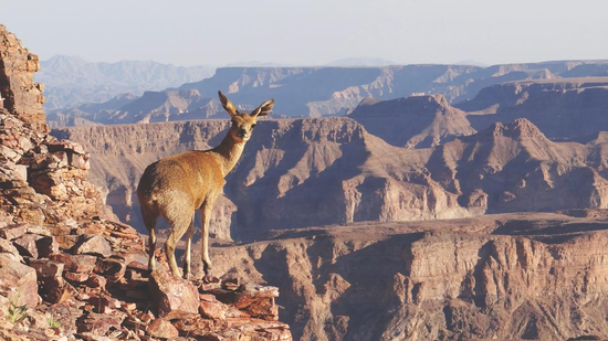 Namibia tour photo 19