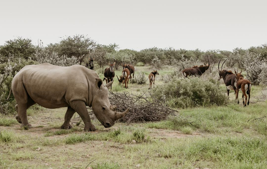 Namibia tour photo 26