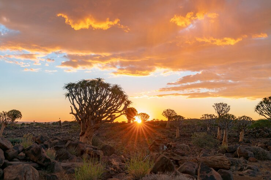 Namibia tour photo 28