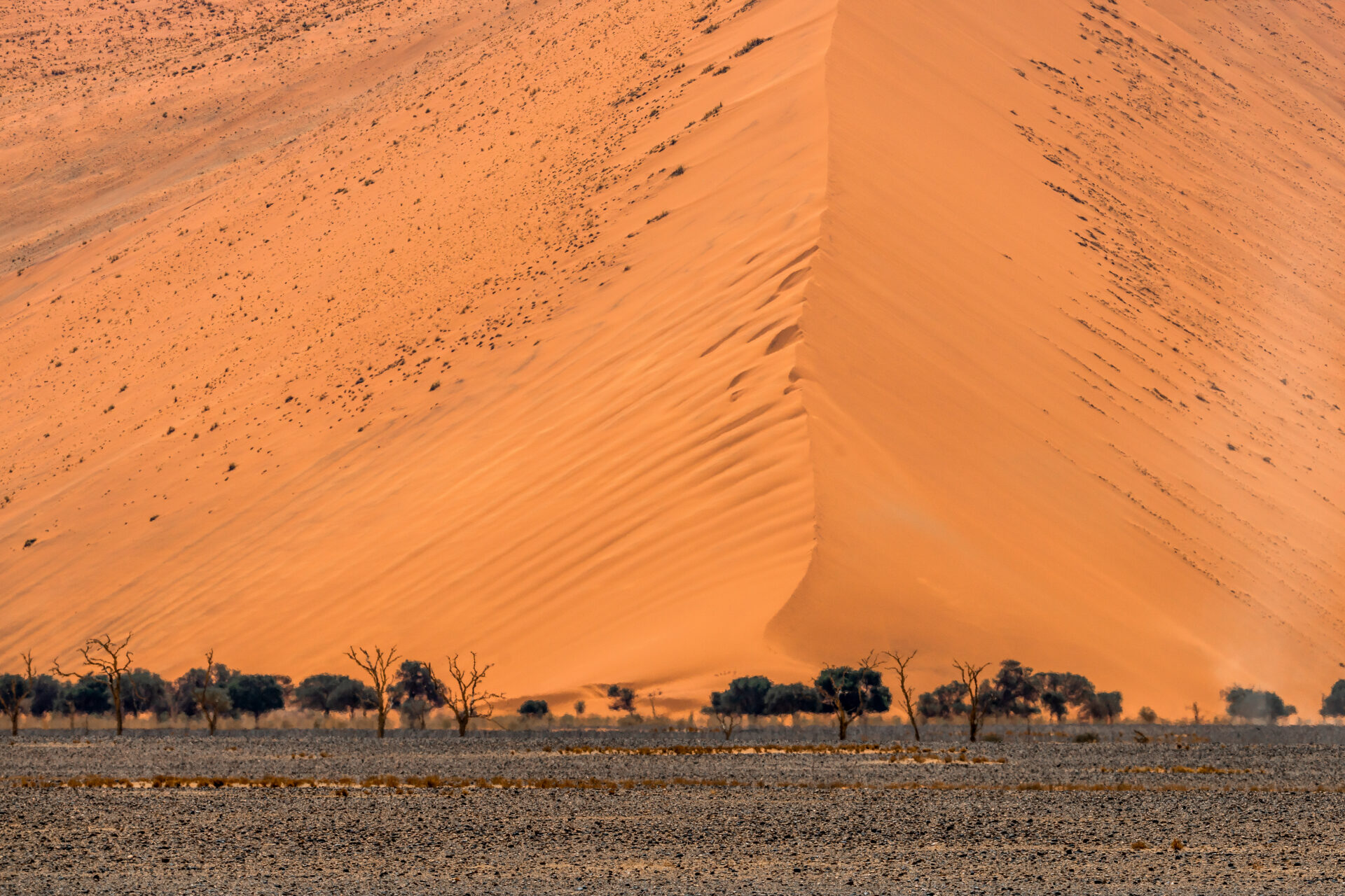 Damaraland