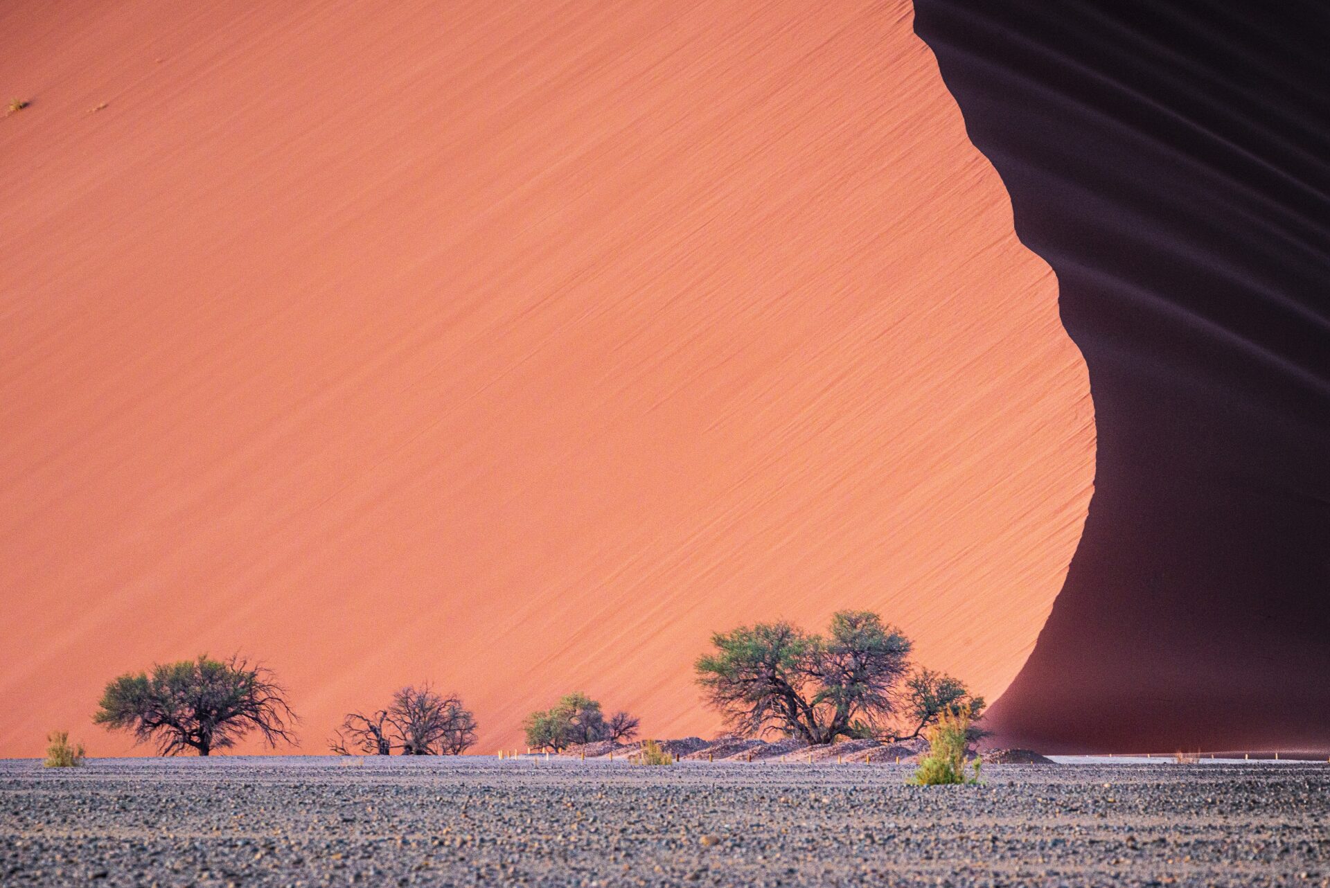 Kalahari Desert