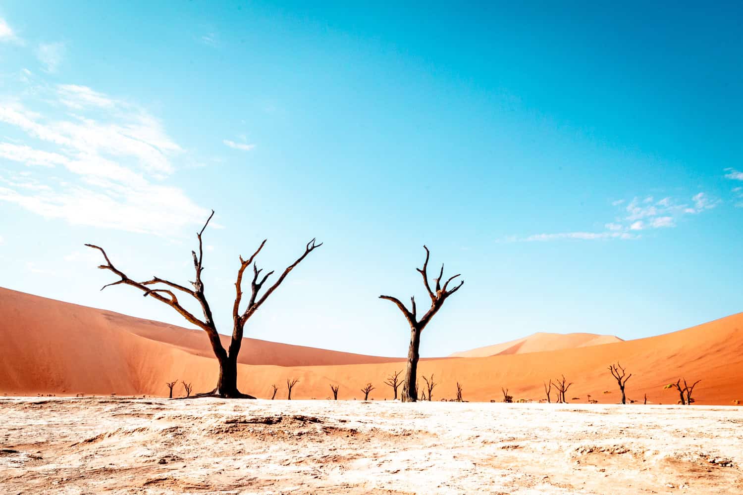 3-Day Sossusvlei Shuttle