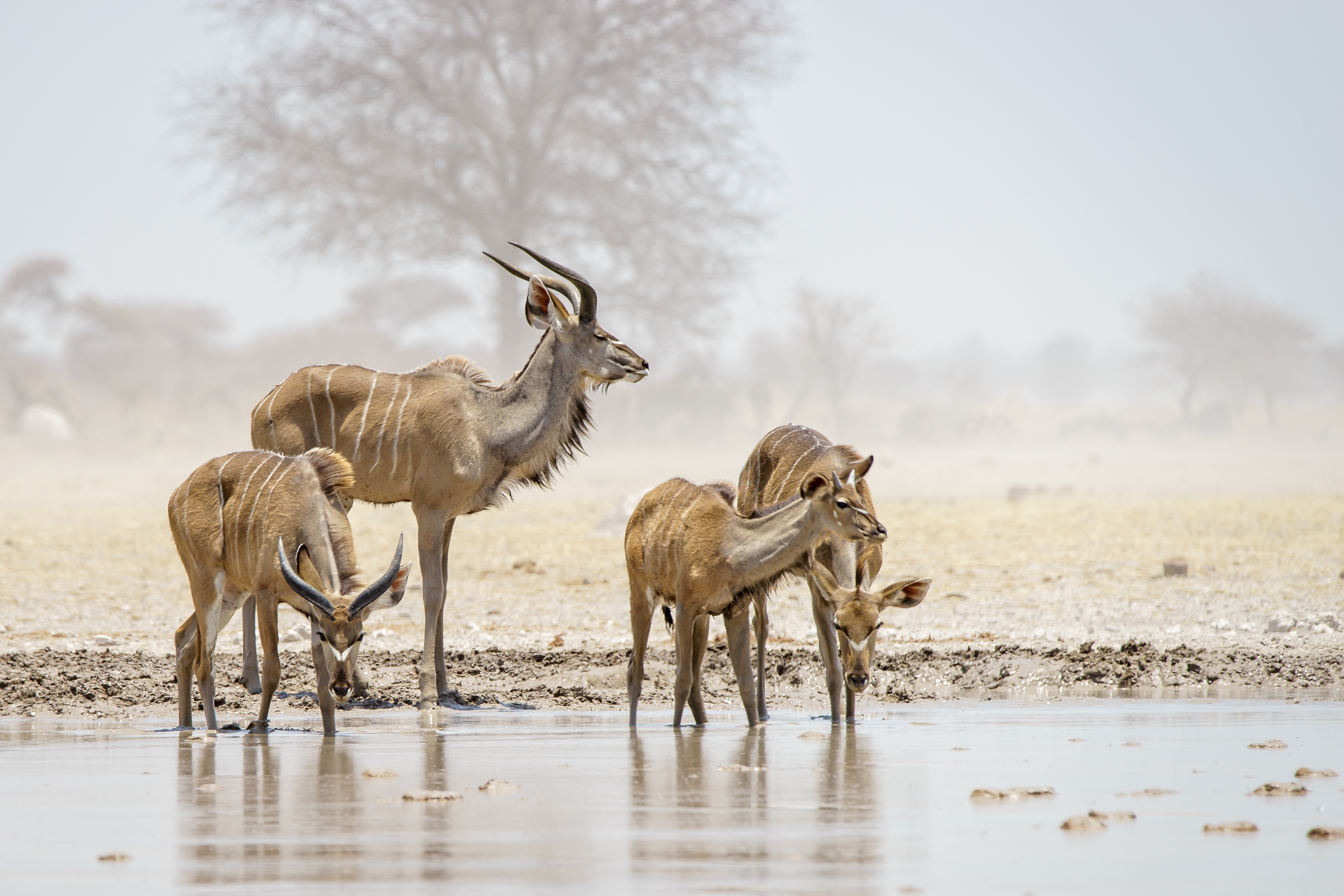 10-Day Wander Tour
