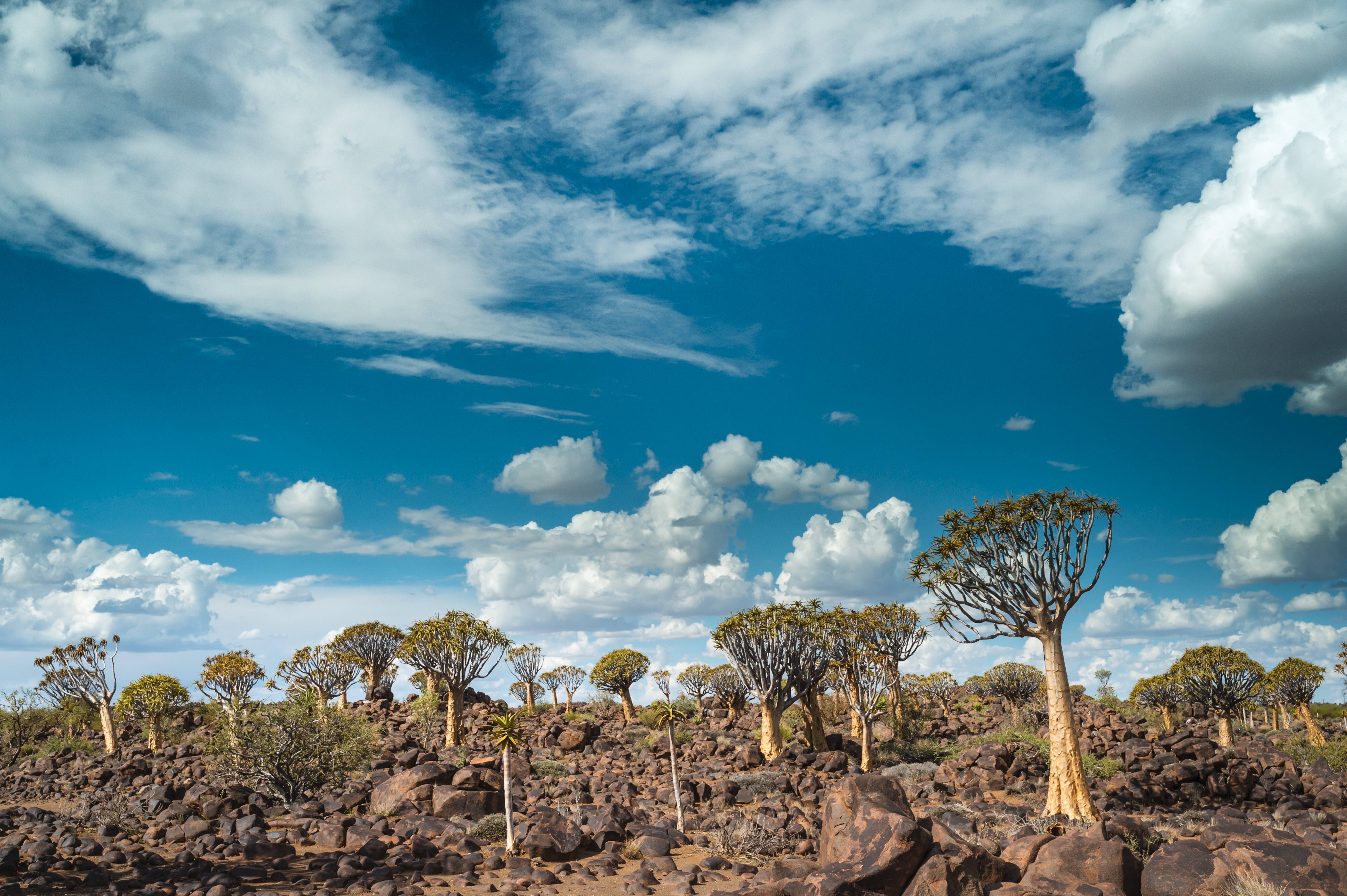 10-Day Namibian Highlights Tour